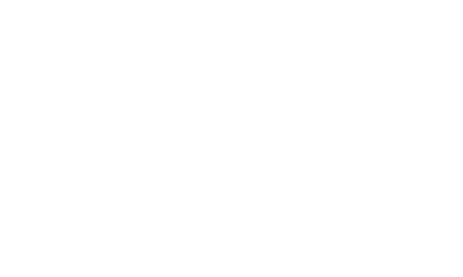 DieselCargo